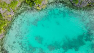 Mercanlı şeffaf bir göl. Coron, Palawan 'daki kireçtaşı kayaları. Filipinler.