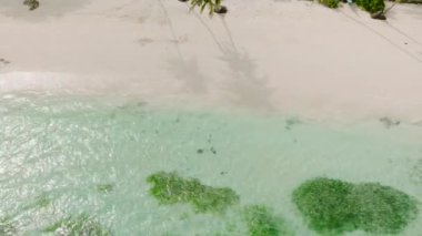 Şeffaf su ve dalgalar, Carabao Adası 'ndaki Sea Garden plajına çarpıyor. Romblon, Filipinler.