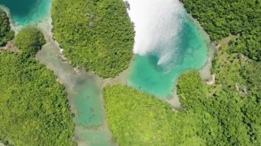 Yağmur ormanları ve turkuaz suyun güneş ışığı yansıması ile hava incelemesi. Tinago Adası. Mindanao, Filipinler.