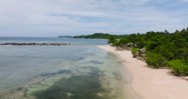 Santa Fe, Tablas, Romblon 'daki beyaz kumlu sahilde hindistan cevizi ağaçları. Filipinler.