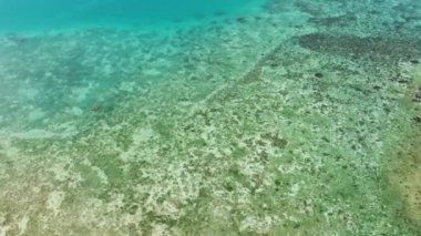 Deniz ve mercanların hava manzarası. Turkuaz suyun insansız hava aracı görüntüsü. Metin için uzay. Siquijor, Filipinler.
