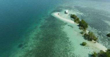 Şeffaf turkuaz su ve kumluk. Mangrovlar ve dalgalar. Kaybolan Ada. Samal, Davao. Filipinler. Yukarıdan görüntüle.