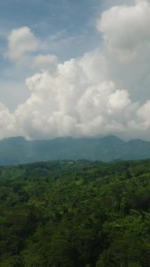 Kırsal kesimde tropik yağmur ormanı. Mavi gökyüzü ve bulutlar. Mindanao, Filipinler. Dikey görünüm.