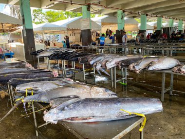 General Santos Şehri Balık Limanı 'ndaki masalarda büyük balıklar var. Filipinler.