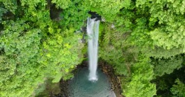 Tatlı su çağlayanlarla dolu bir orman. Katibawasan Şelalesi. Camiguin, Filipinler.
