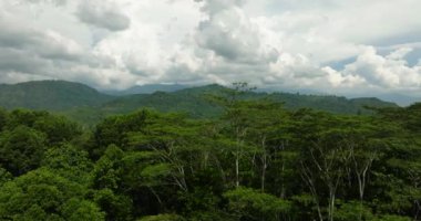 Dağ yamaçlarının tepesi yağmur ormanları ve ormanlarla kaplı. Mavi gökyüzü ve bulutlar. Mindanao, Filipinler.