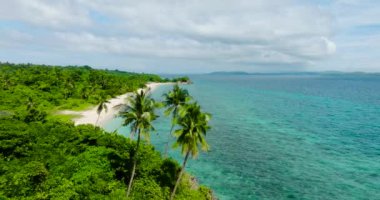 Carabao Adası 'nda hindistan cevizi palmiyeleri olan bir sahil. Kıyı bölgesinde güzel bir deniz. Romblon. Filipinler.