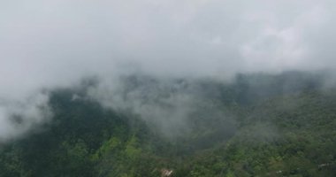 Yukarıdan bulutlarla kaplı dağ zirveleri. Dağlar yağmur ormanlarını ve ağaçları kapladı. Mindanao, Filipinler.