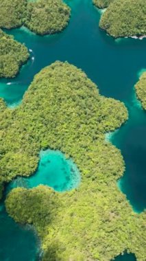 Eşsiz tropikal ada manzaraları. Bucas Grande Adası 'ndaki Sea Bay ve Lagooon' da. Mindanao, Filipinler. Dikey görünüm.