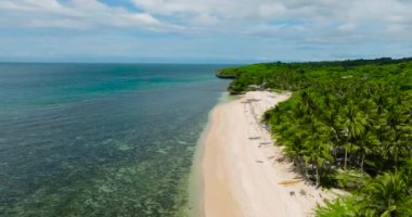 Sanddy Beach 'teki tekne ve hindistan cevizi ağaçlarının insansız hava aracı görüntüsü. Lanas, San Jose 'deki plaj. Romblon, Filipinler.