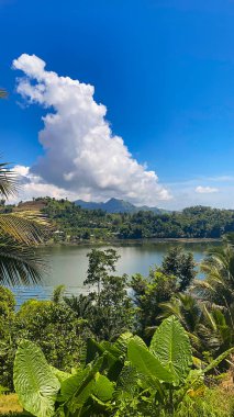 Bitkilerle çevrili yeşil sularla dolu bir göl. Sebu Gölü. Mindanao, Filipinler.