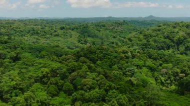 Tropik Dağ 'ın güzel hava manzarası. Mindanao, Filipinler.