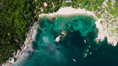 Kristal berrak su ve orman tepeleriyle sakin tropikal bir sahil manzarası. Ao Tanote Sahili. Koh Tao, Tayland.