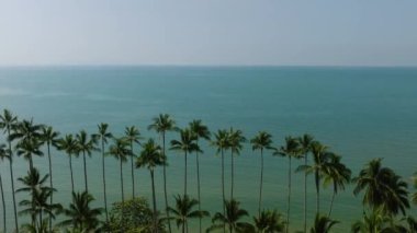 Sahil boyunca duran hindistan cevizi palmiyeleri durgun turkuaz deniz manzarası ve berrak gökyüzü. Ko Samui, Tayland.