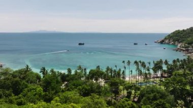 Turkuaz deniz ve palmiye ağaçlarıyla kaplı kumlu bir plaj. Koh Tao, Tayland.