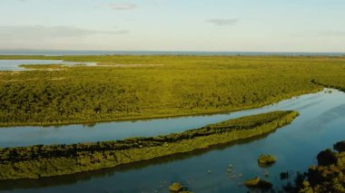 Olango Adası 'ndaki Mangrove Ormanı. Gün batımlı vahşi yaşam sığınağı. Lapu-Lapu, Filipinler.