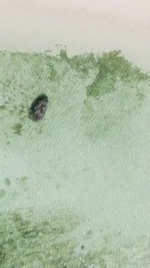 Beyaz kumlu sahilde şeffaf su. Romblon Adası. Romblon. Filipinler. Dikey görünüm.