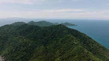 Uçsuz bucaksız mavi okyanusa doğru uzanan yemyeşil tepenin geniş bir manzarası. Koh Tao, Tayland.