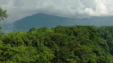 Yukarıdan manzara: Tropikal dağ vilayetindeki ormanlık ve ormanlı manzara. Mindanao, Filipinler.