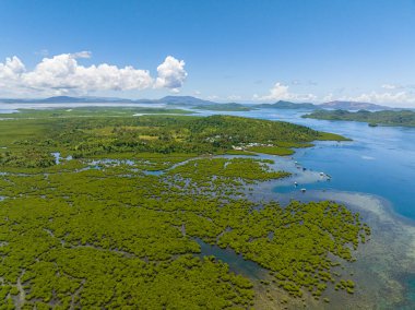 Tropikal mangrov yeşil ormanındaki nehrin havadan görünüşü. Mangrov manzarası. Mindanao, Filipinler.