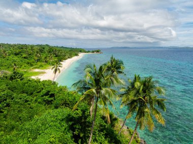 Carabao Adası 'nda hindistan cevizi palmiyeleri olan bir sahil. Kıyı bölgesinde güzel bir deniz. Romblon. Filipinler.