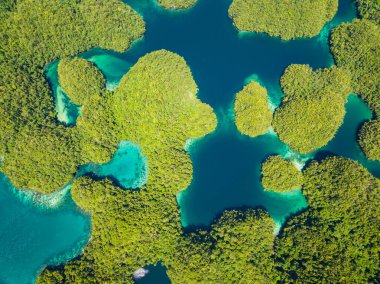 Sohoton Koyu 'nda göl kenarlı güzel plajlar. Bucas Grande Adası. Mindanao, Filipinler. Seyahat ve yaz konsepti.