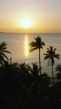 Günbatımı arka planına sahip tropikal plajın drone görüntüsü. Santa Fe, Tablas, Romblon. Filipinler. Dikey görünüm.