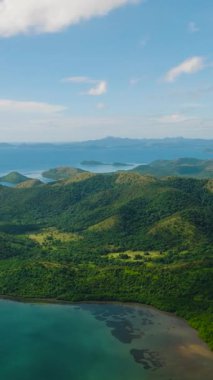 Coron 'da turkuaz suyu olan Mangrove ormanları. Mavi gökyüzü ve bulutlar. Palawan 'da. Filipinler. Dikey görünüm.