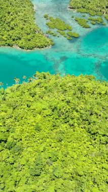 Güzel şeffaf turkuaz lagünü olan tropik adalar. Tinago Adası. Mindanao, Filipinler. Dikey görünüm.