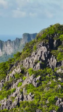 Yeşil bitkilerle dağdaki kireçtaşı kayaları. El Nido, Palawan 'daki adalar ve mavi deniz. Filipinler. Dikey görünüm.