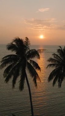 Günbatımının havadan görünüşü, tropikal palmiye siluetleriyle denizin üzerinde altın renkler bırakır. Ko Pha Ngan, Tayland.