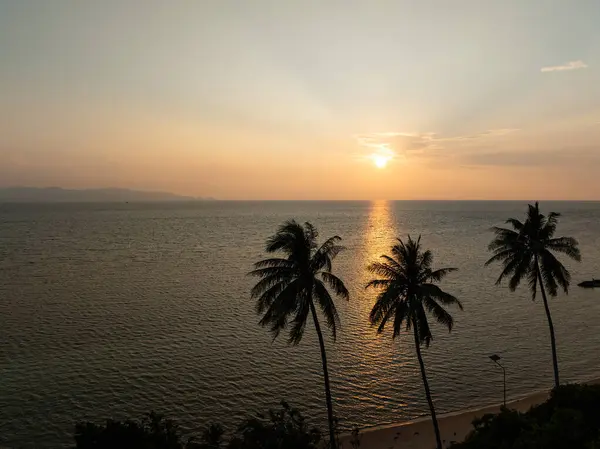 Sıcak gün batımı ışığı okyanusa yansıyor siluetli palmiyelerle. Ko Pha Ngan, Tayland.