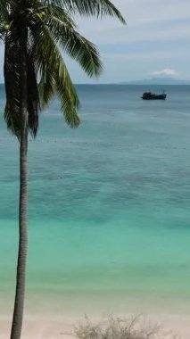 Palmiye ağaçları ve kumlu kıyı şeridi olan kristal berrak turkuaz su. Köpekbalığı Körfezi. Koh Tao, Tayland.