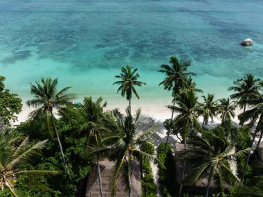Turkuaz su ve mercan resifleriyle kumlu bir plajda sallanan uzun palmiye ağaçları. Koh Tao, Tayland.