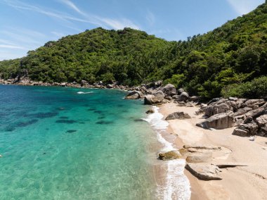 Bereketli yeşil tepelerin parlak bir gökyüzünün altında turkuaz denizle buluştuğu sahili. Koh Tao, Tayland.