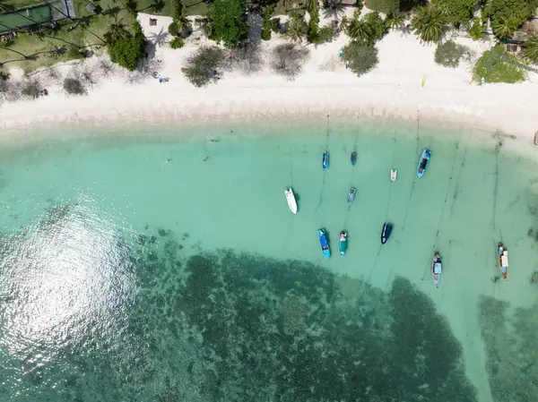 Mercan resifleri olan bereketli bir plajın yakınındaki berrak sığ sularda demirli tropikal kayıklar. Koh Tao, Tayland.