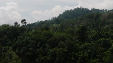 Dağınık bitki örtüsü ve tropikal bir ortamda sık orman parçalarıyla yuvarlanan tepeler. Ko Samui, Tayland.
