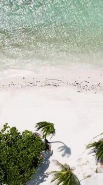 Turkuaz kıyı şeridi boyunca palmiye ağaçları olan beyaz kumsal. Ko Pha Ngan, Tayland.