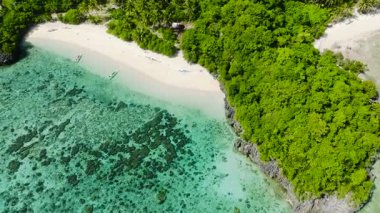 Temiz su ve tropikal bitki örtüsüyle yemyeşil çevreye sahip el değmemiş kumlu sahil. Cobrador Adası, Romblon, Filipinler.