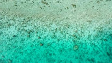 Kristal berrak turkuaz su mercan resifi oluşumları ve güneş ışığı altında kumlu deniz yatağı. Romblon, Filipinler.