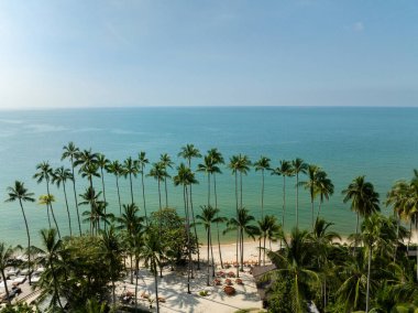 Güneşli bir gökyüzünün altında sakin mavi denizi olan kumlu bir sahil boyunca uzanan uzun palmiye ağaçları. Koh Samui, Tayland.