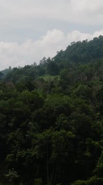 Dağınık bitki örtüsü ve tropikal bir ortamda sık orman parçalarıyla yuvarlanan tepeler. Ko Samui, Tayland.