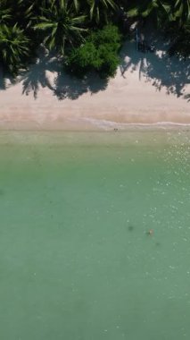 Altın kumlu plaj, yemyeşil palmiyeler ve şeffaf turkuaz suyla kaplı. Tayland, Koh Samui. Lipa Noi Sahili.