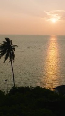 Gün batımının turuncu renkleri, yüksek palmiye ağaçları ile denize yayıldı. Ko Pha Ngan, Tayland.