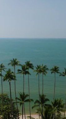 Sahil boyunca duran hindistan cevizi palmiyeleri durgun turkuaz deniz manzarası ve berrak gökyüzü. Ko Samui, Tayland.