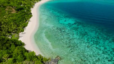Beyaz kumsal, turkuaz sular ve tropik bir cennette bereketli palmiye püsküllü kıyı şeridi. Cobrador Adası, Romblon, Filipinler.