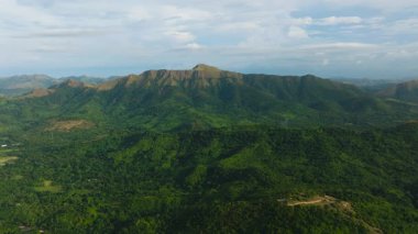 Yeşil bitki örtüsüyle kaplı yuvarlanan tepelerin havadan görünüşü. Coron, Palawan, Filipinler.
