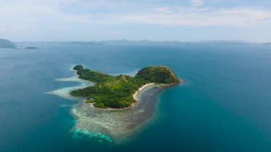 Yeşil orman ve mercanlarla çevrili beyaz kumlu sahil manzaralı bir ada. Coron, Palawan 'daki Dimanglet Adası' ndaki plajlar. Filipinler.