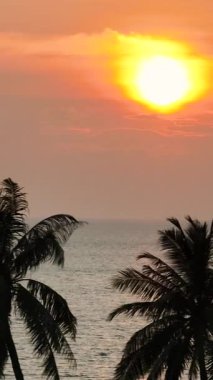 Palmiye ağaçları, gün batımına karşı gölgede durur. Suyun üzerindeki altın ışığı yansıtır. Ko Pha Ngan, Tayland.