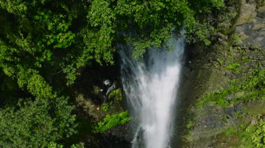 Bitkilerle çevrili bir dağ kanyonundaki şelalenin yavaş çekim görüntüsü. Alalum Şelalesi. Bukidnon, Filipinler.